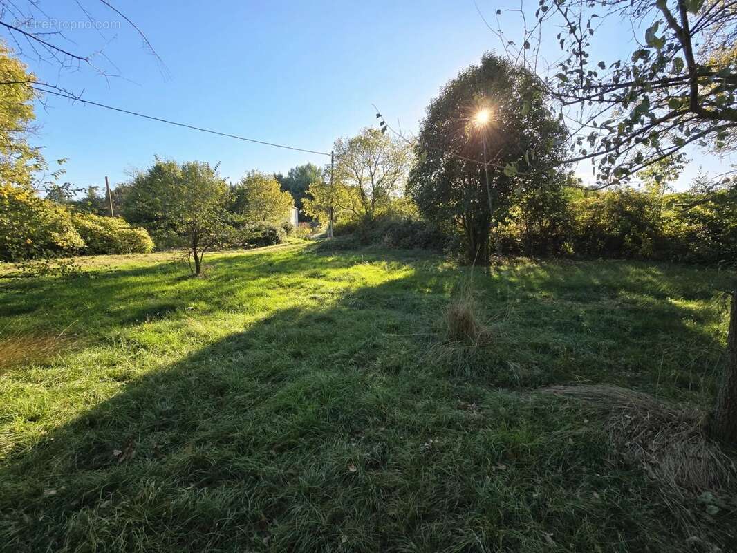Terrain à LUSSAN