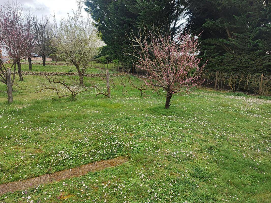 Terrain à AZAY-LE-RIDEAU