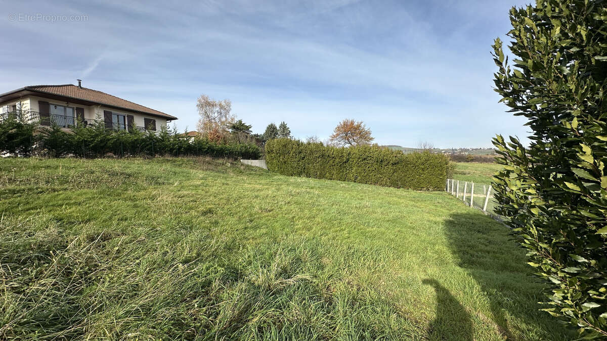 Terrain à SAINT-FORGEUX