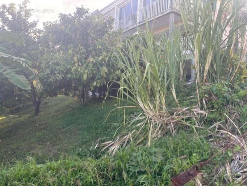 Maison à LE FRANCOIS