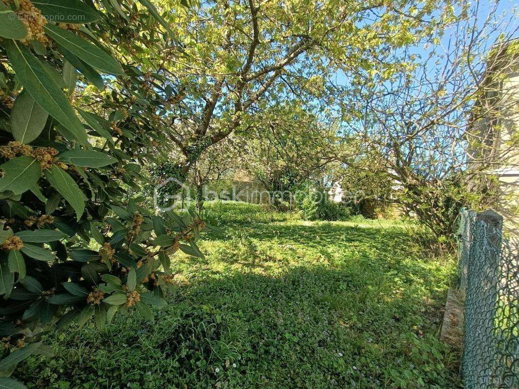 Maison à CHATEAU-RENAULT