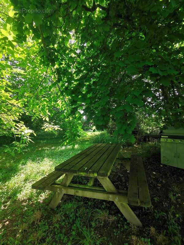 Photo 5 - Maison à MARGOUET-MEYMES