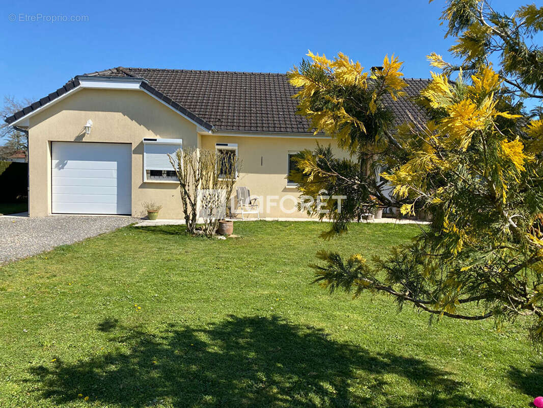 Maison à LANUEJOULS