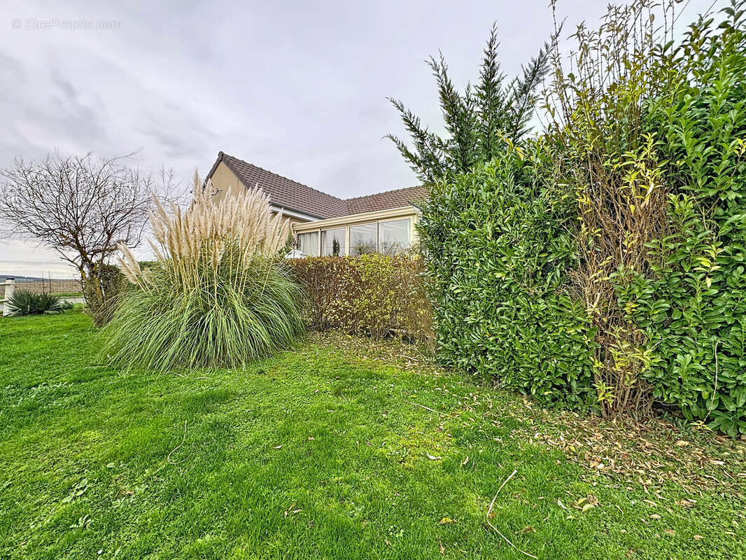 Maison à MONTMIRAIL