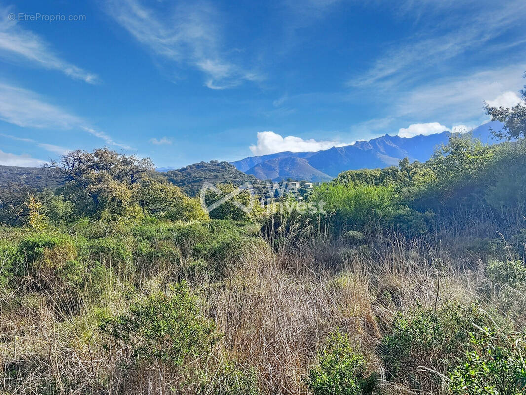 Terrain à CATERI
