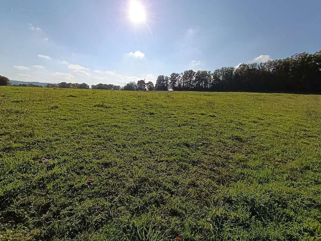 Terrain à SAINT-MARC-A-FRONGIER