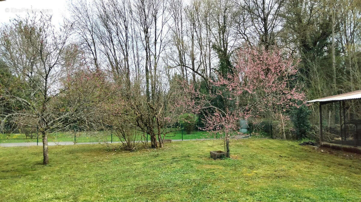 JARDIN - Maison à VERTEUIL-SUR-CHARENTE