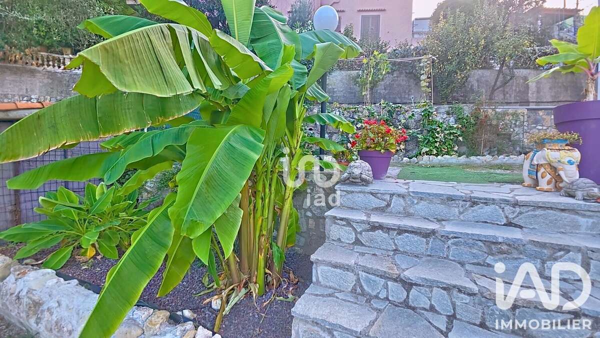 Photo 3 - Maison à GORBIO
