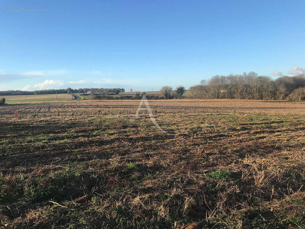 Terrain à CHAMPAGNE