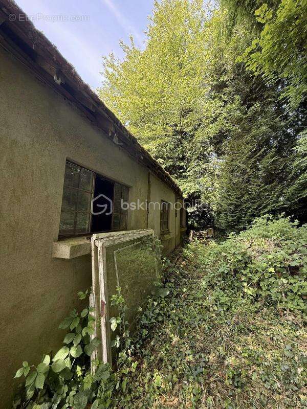 Opportunité rare à 10 minutes de La Ferté-Macé – Bâtiment à aménager + terrain arboré  - photo 4