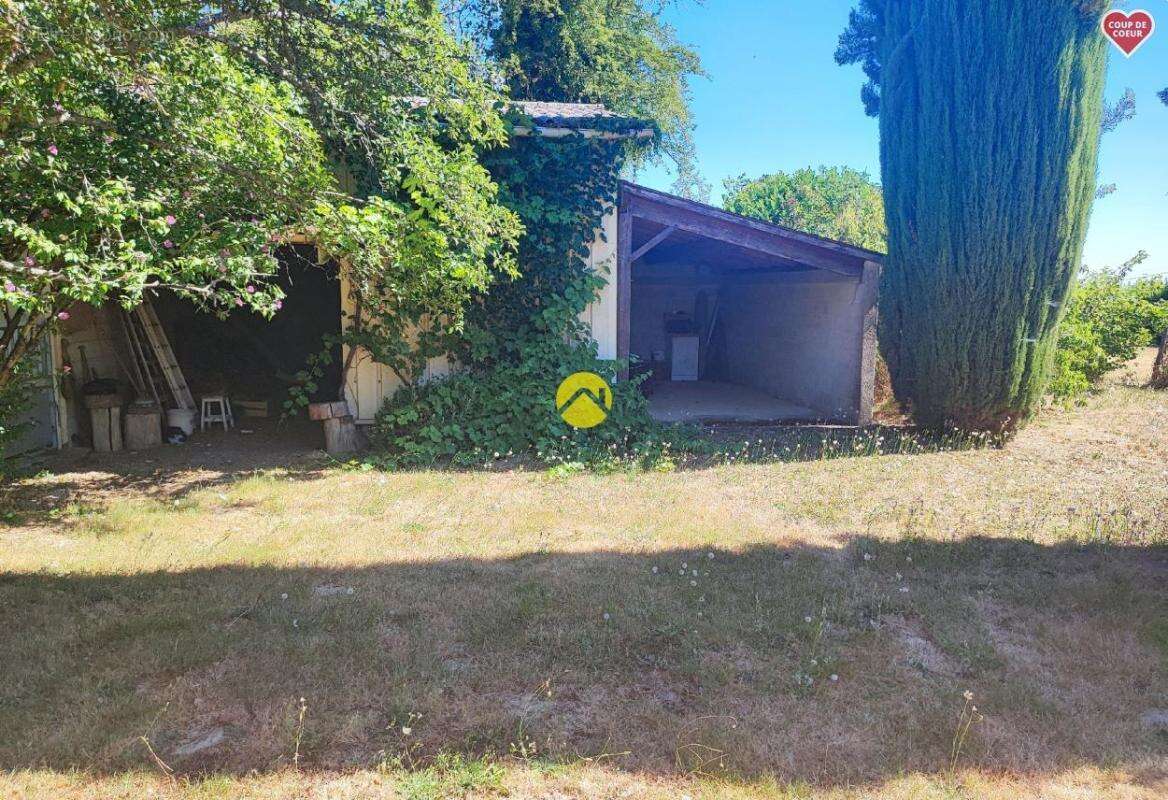 19683m² de terrain attenant - photo 19
