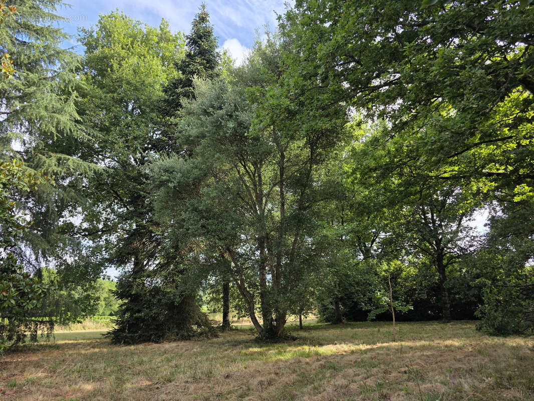 Gers—proche barbotan les thermes—maison dans son parc de 1.5ha avec garage - photo 24