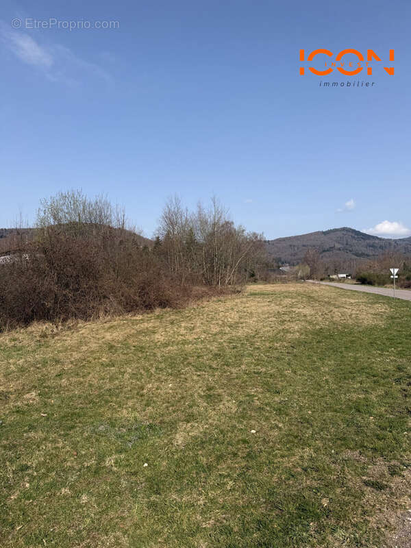 Terrain à PLANCHER-BAS