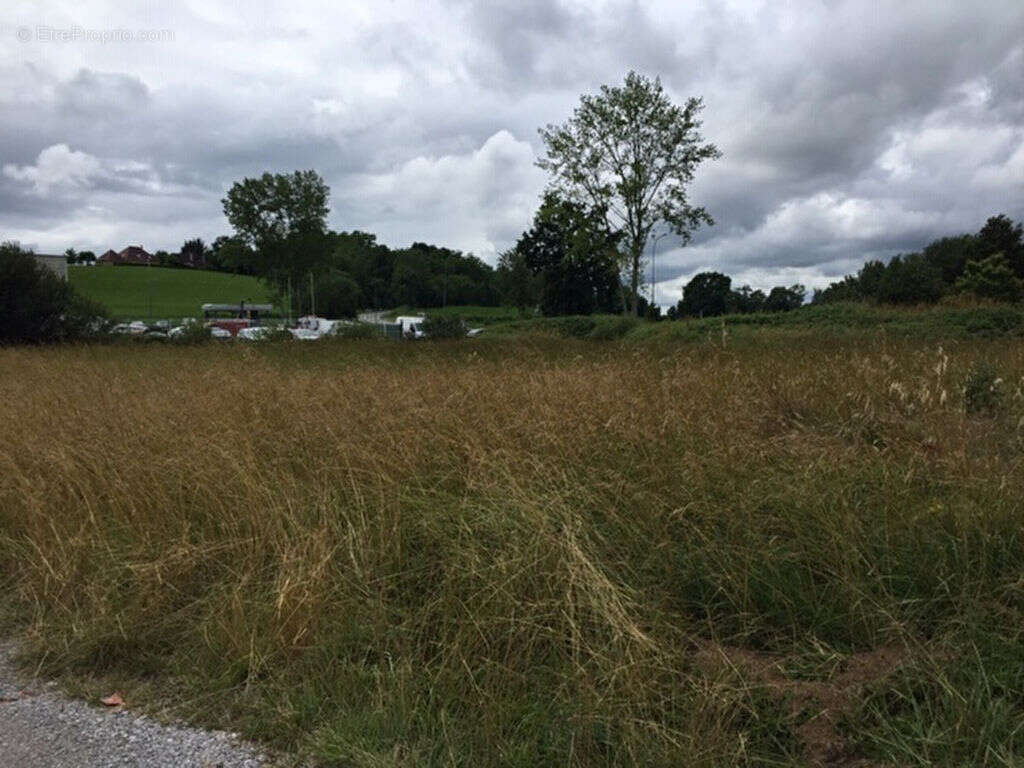 Terrain à NAVARRENX