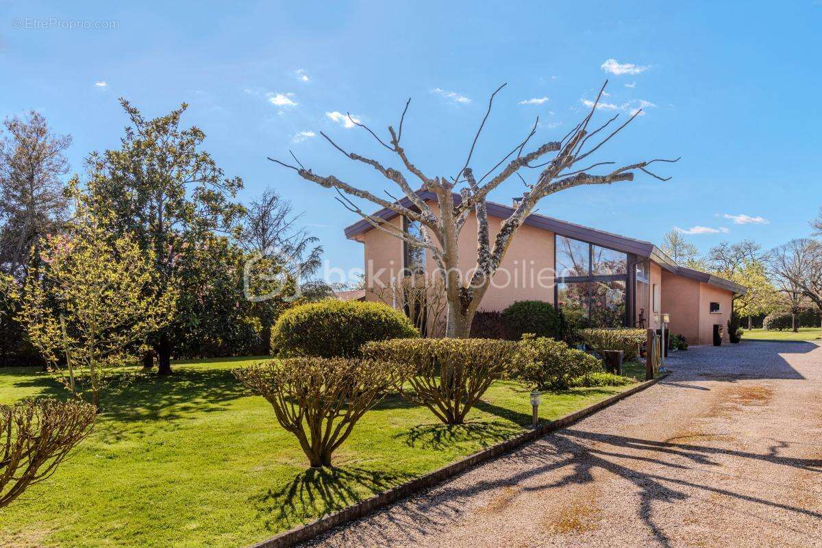 Maison à TOURNEFEUILLE