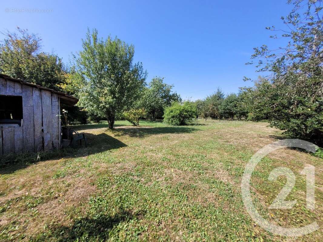 Maison 431 m² à Montpont-En-Bresse  - photo 23