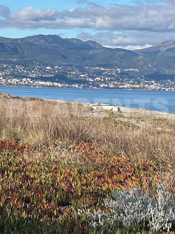 IMG_8070 - Maison à BORGO