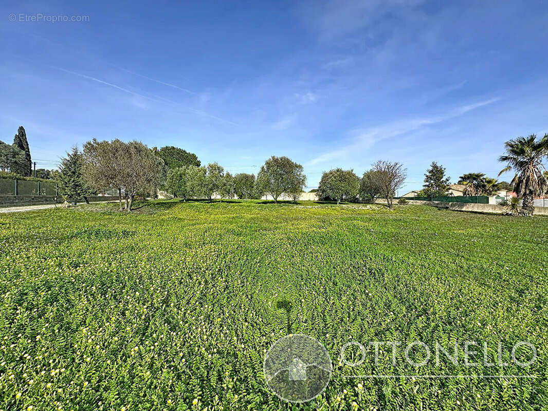 Terrain à ROQUEBRUNE-SUR-ARGENS
