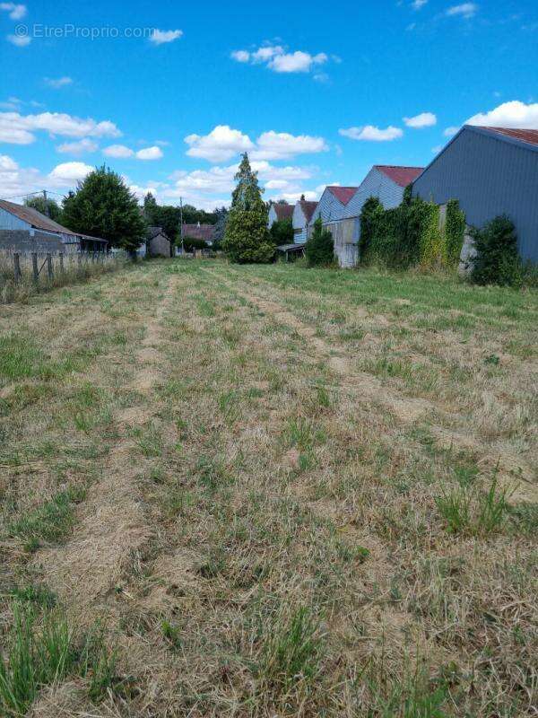 Terrain à LORRIS