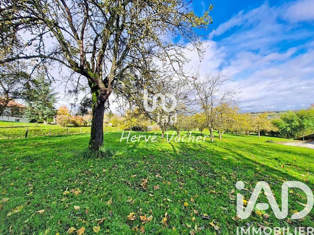 Photo 7 - Terrain à BUELLAS