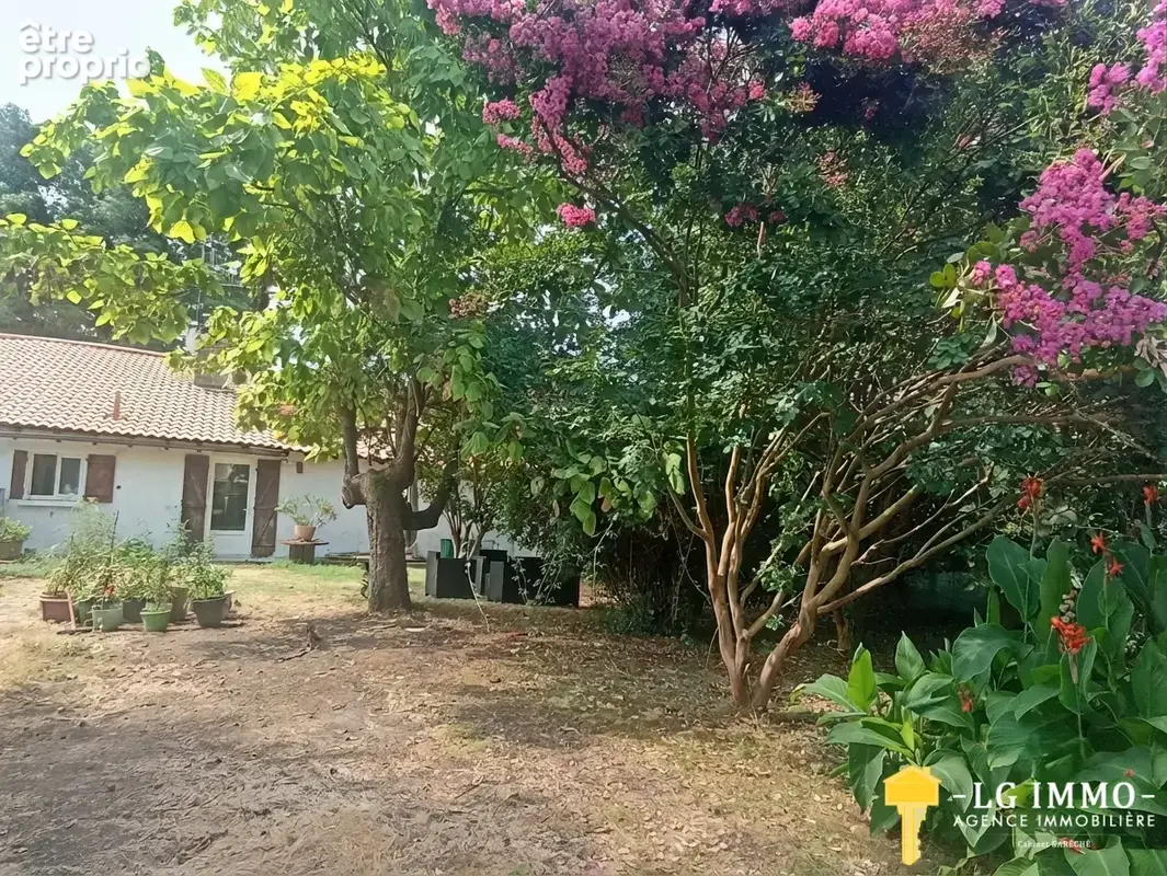 Ensemble immobilier de 2 maisons sur 7555 m2 de terrain- Idéal projet familial ou investissement - photo 2