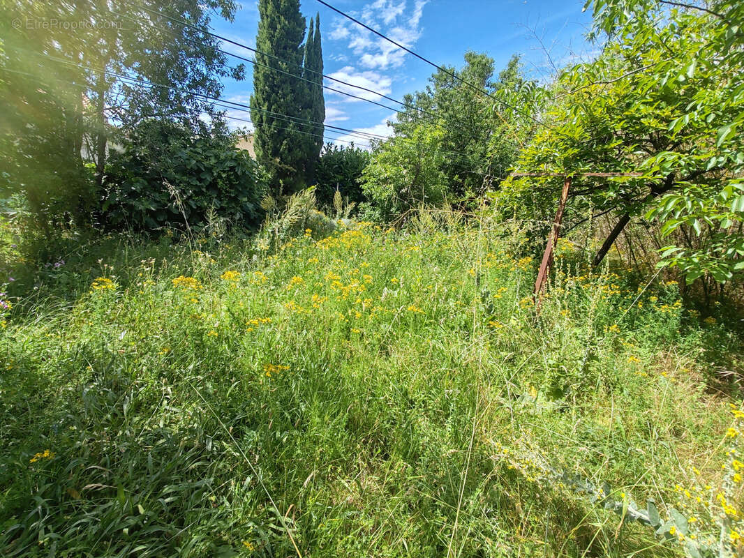 Terrain à TOULOUSE