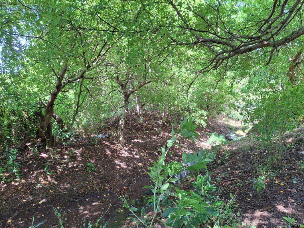 Terrain à TERRE-DE-BAS