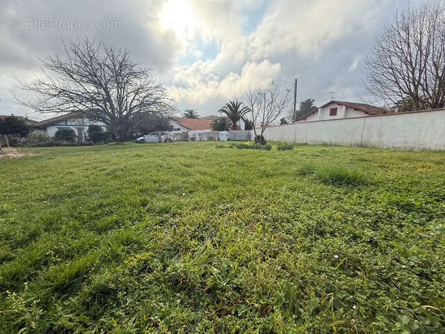 Anglet chassin en exclusivite terrain constructible - photo 2