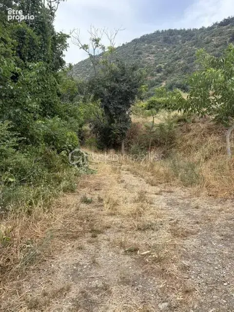 Terrain de 4495 m2 - photo 8