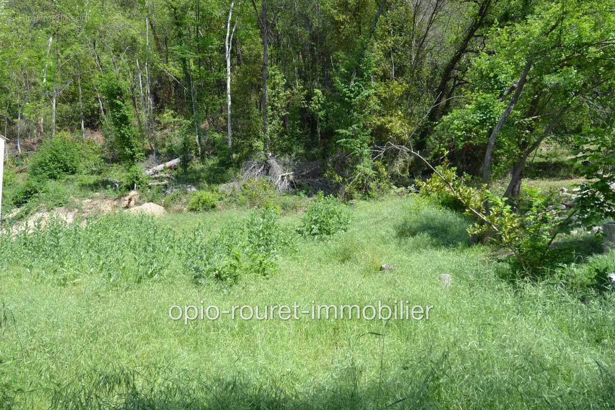 Terrain à SAINT-PAUL