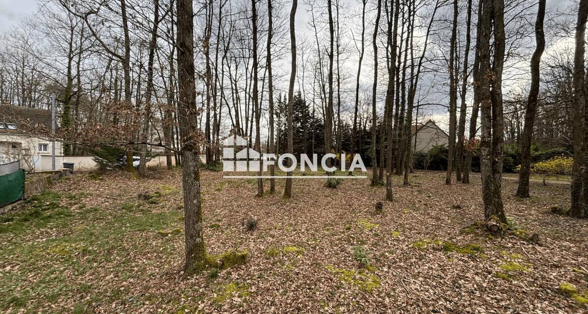 Terrain à SAVONNIERES