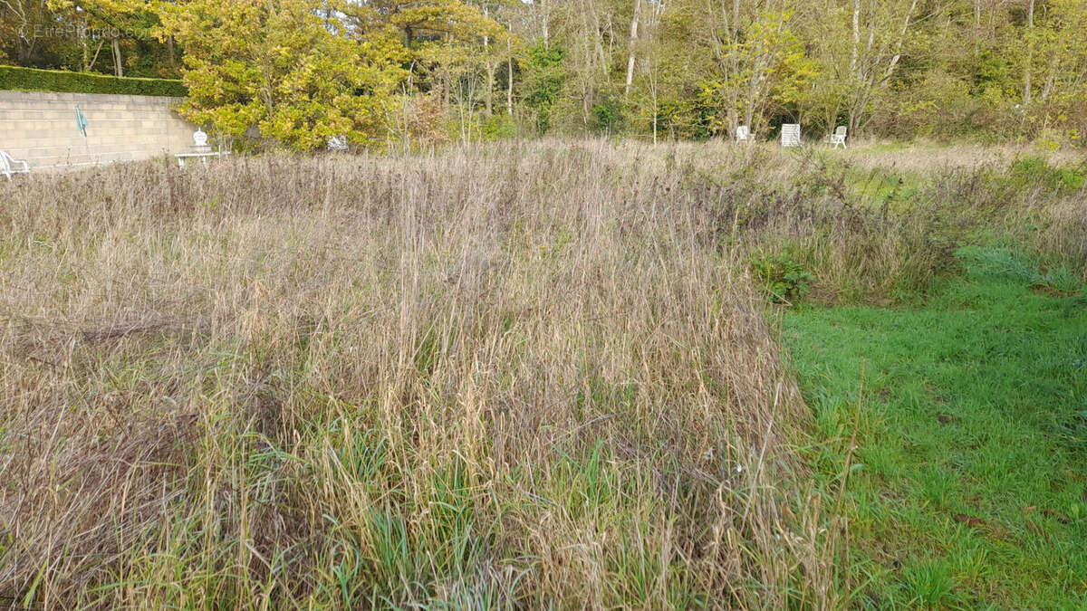 Terrain à BRIIS-SOUS-FORGES