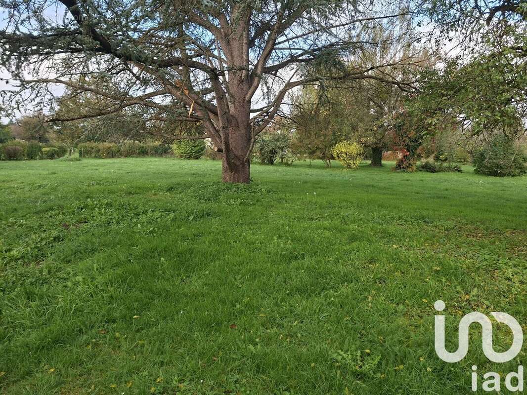 Maison 306 m² à Bragny-Sur-Saone  - photo 4