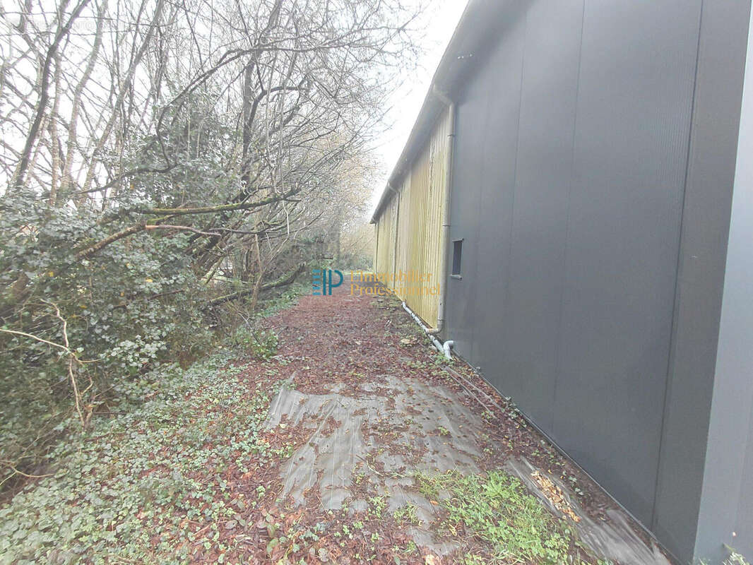 Commerce à SAINT-YVI