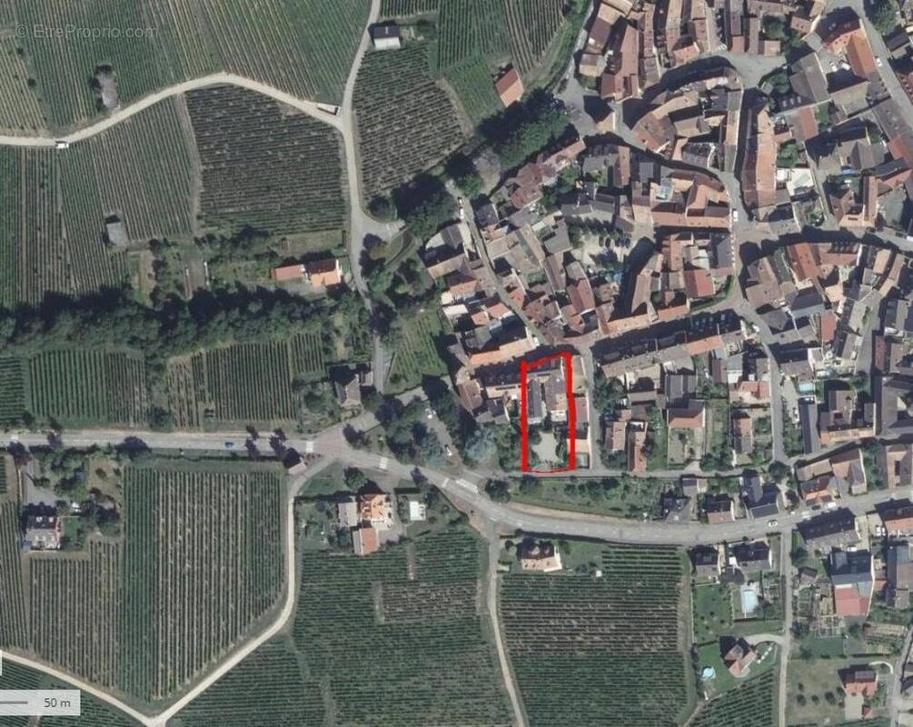 Photo 1 - Maison à RIEDISHEIM