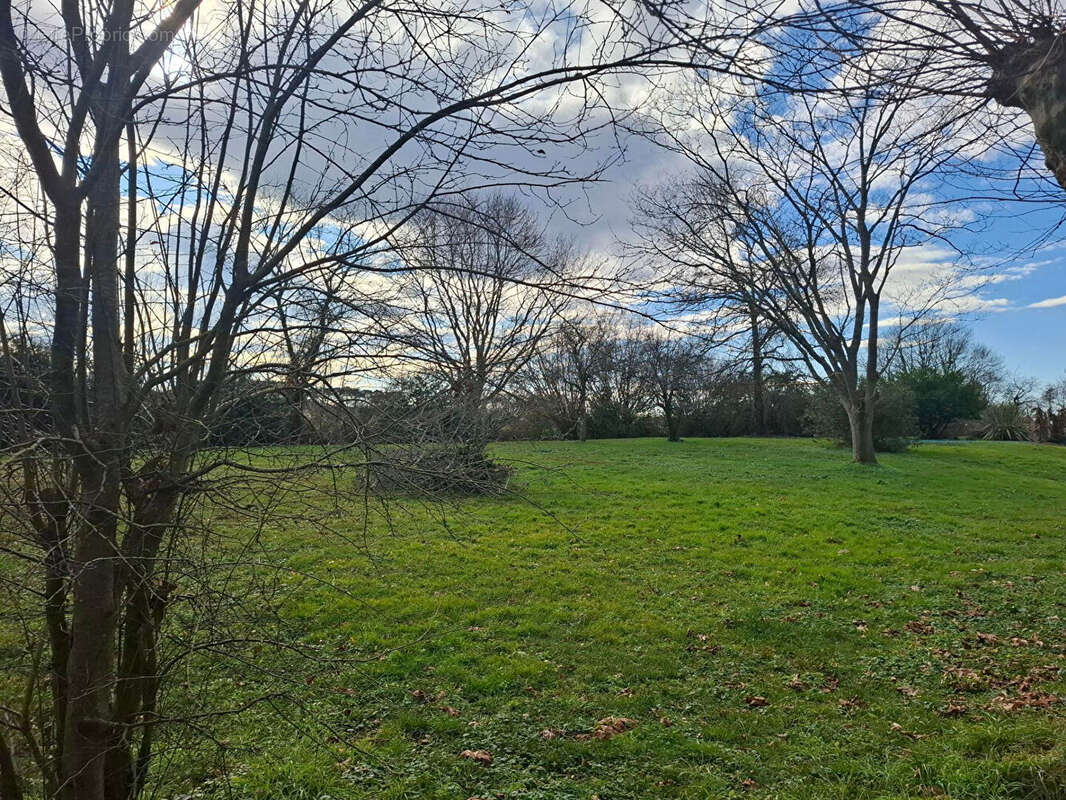 Terrain à SAINT-JEAN-DE-MARSACQ