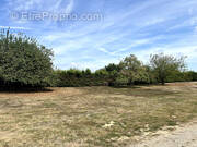 Terrain à MEYRIEU-LES-ETANGS