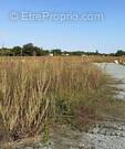 Terrain à SAINT-SAVINIEN