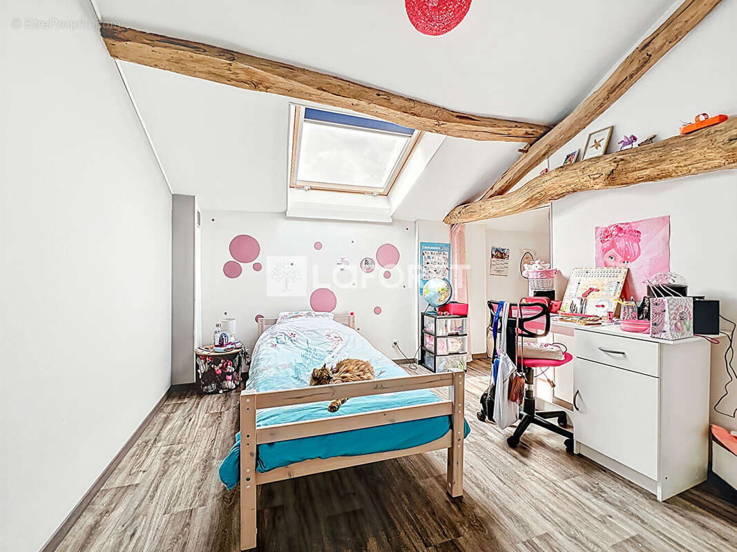 Maison à DOUE-LA-FONTAINE