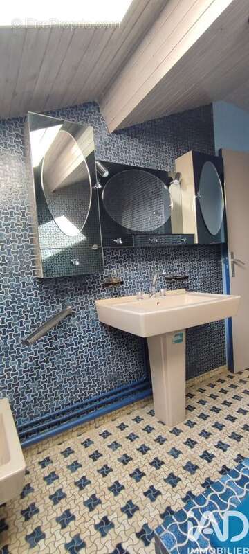 Photo 8 - Maison à SALINS-LES-BAINS