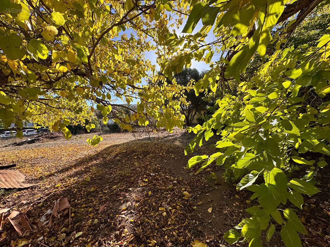 Maison à L&#039;ILE-ROUSSE