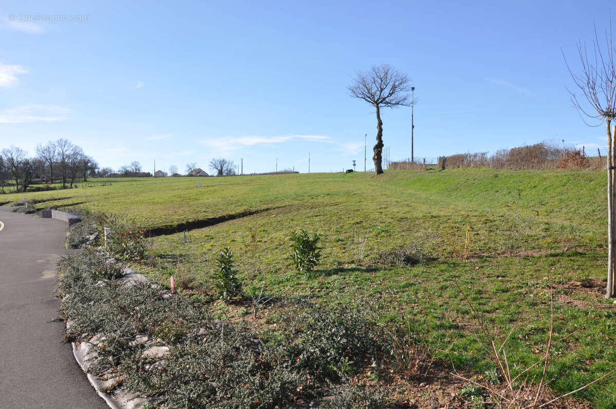 Terrain à LE BREUIL