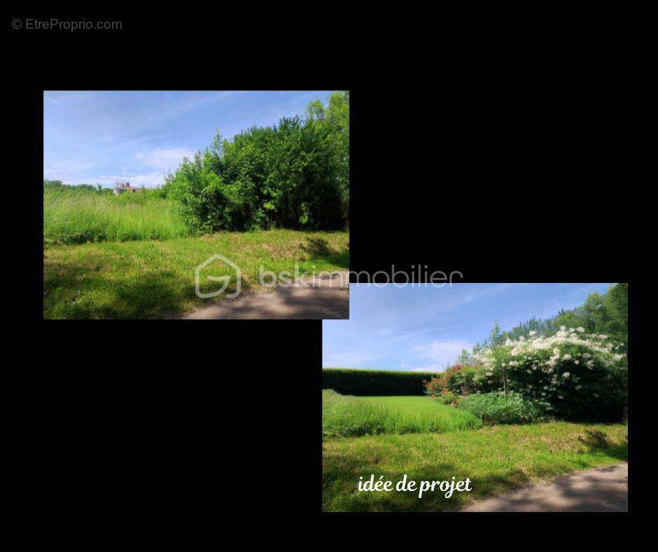  Terrain constructible de 2 530 m² – Nature, calme et potentiel - photo 7