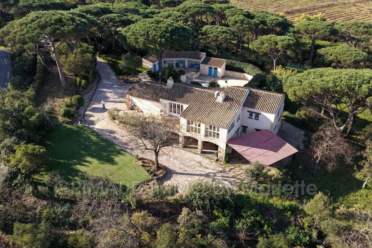 Maison à RAMATUELLE