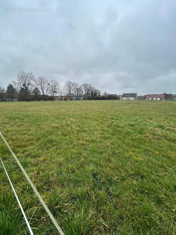 Terrain à BRIEL-SUR-BARSE