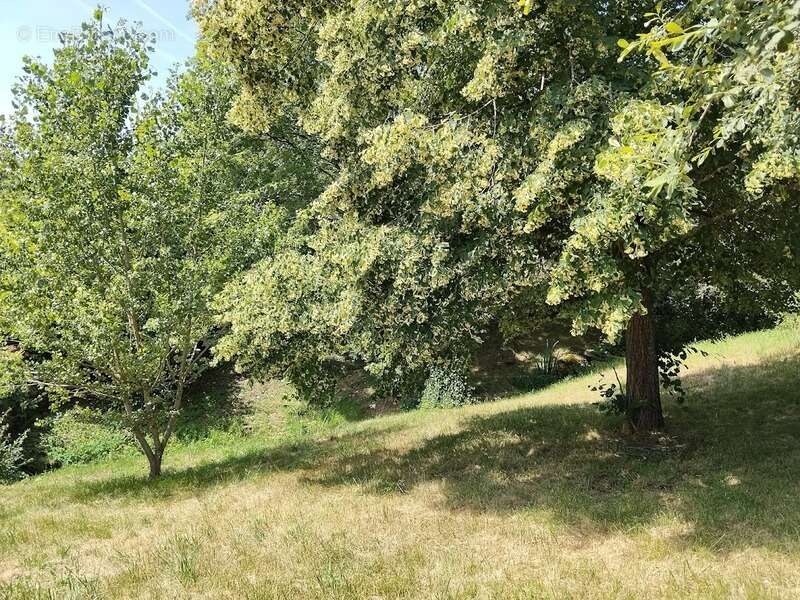 Maison en pierres BAGNAC SUR CELE (46) - photo 17
