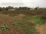 Terrain à SANXAY