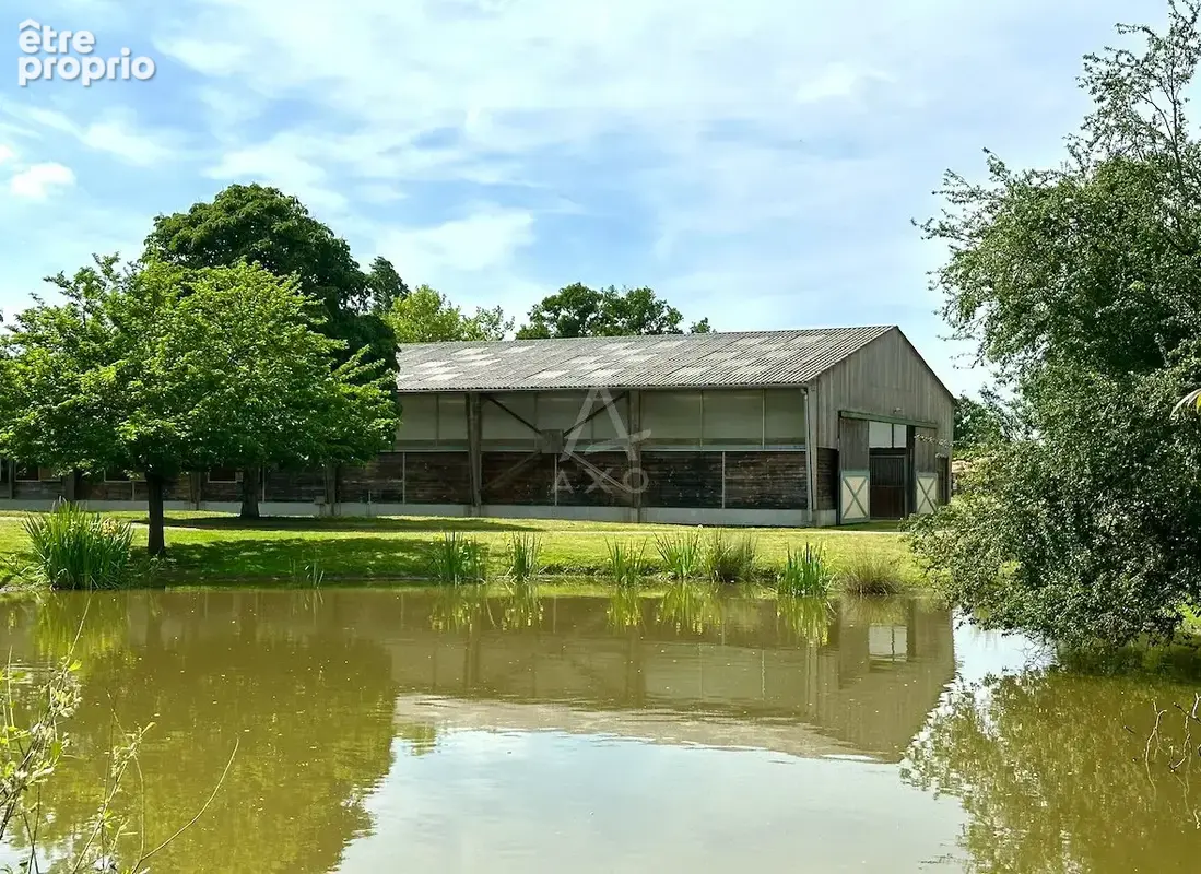 Haras d'Entraînement de Courses sur 28 Hectares   Cadre Exceptionnel - photo 6
