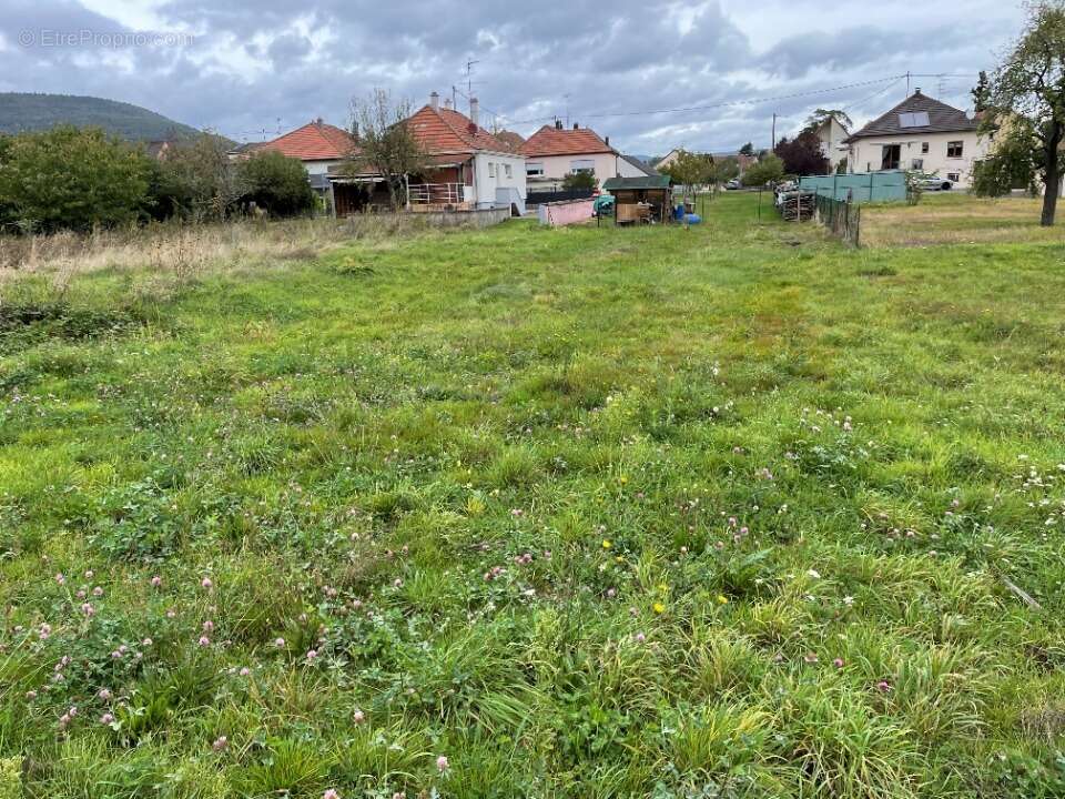 Terrain à ISSENHEIM