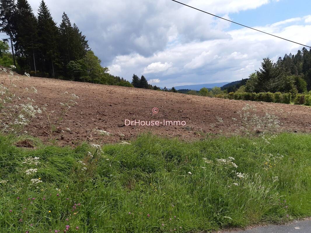 Terrain à AMBERT